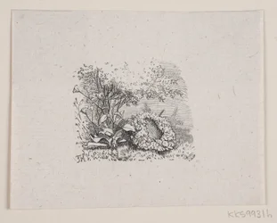 Illusztráció az "Utolsó órákhoz", H. J. Greensteen verse