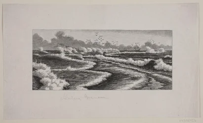 Skagen ág