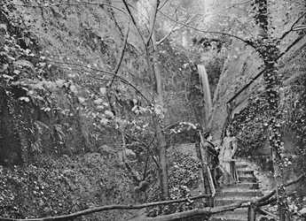 Shanklin Chine, 1896