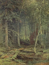 Mocsár az erdőben, 1872 ősz