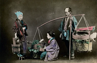 Zöldségkosár, Japán, 1882