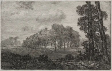 Táj, francia után