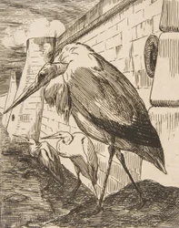 A gólyák, 1870-es, 1870-es évek.