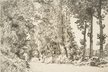 Rue des Bruyères, Sèvres, 1868.