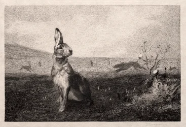 A nyúl (A. de Balleroy nyomán)