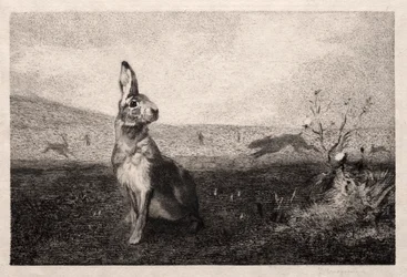 A nyúl A. de Balleroy után, 1865.