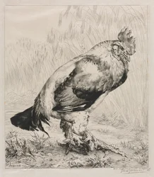 Az öreg kakas, 1882.