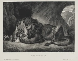 Oroszlán az atlaszból, 1829