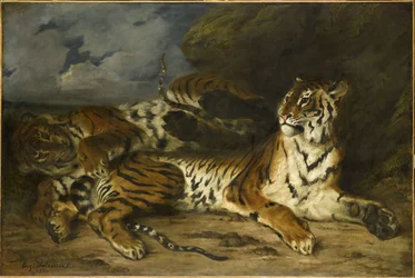 Fiatal tigris játszik az anyjával, 1830.