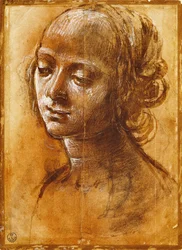 Női alak, Filippino Lippi (1457-kb. 1504), rajz