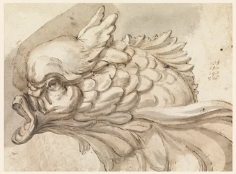 Rajz, egy delfin feje, kb. 1775