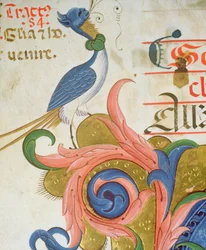 Missál 515 f.28v Fantasztikus madár emberi fejjel egy történetírással készült iniciálé sarkán, részlet az 1449 előtt készült kóruskönyvből.