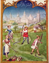 Fol 6v Június hónapja: Szénakészítés, a Breviarium Grimani-ból, 1515 körül