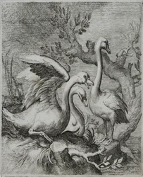 Old Master Metszet