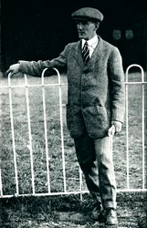Egy szörnyű csapás túlélője: Mr. Sydney Pickles, a Caudron-szakértő, 1913, 1934
