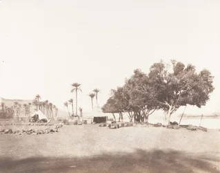 Korósko, Sycomores and Camping of a Caravan for the Sennâr, 1851-52, nyomtatva 1853-54.