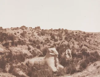 Szfinxek emberi fejjel és kosfejjel az Y. Karnak pontban (Théba)