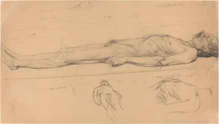A holttest (Study for The Dead Christ)