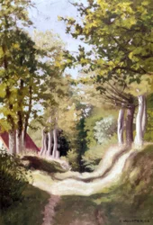 Undergrowth