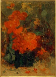 Begónia és nasturtium