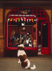 Portál Pet Show