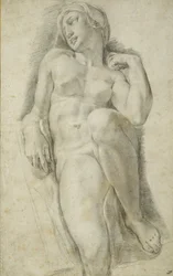 Aurora, Michelangelo Buonarroti után (fekete kréta fehér papíron)