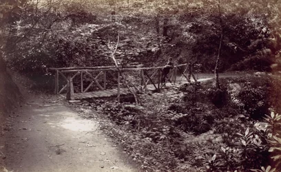 Colwyn Bay. Rusztikus híd az erdőben, 1870-es évek.