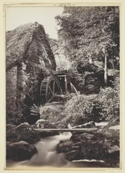 Névtelen