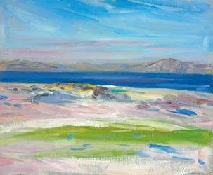A kilátás a fehér homokra, Iona
