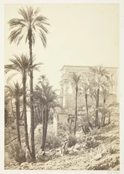 Pálmacsoport, 185862.