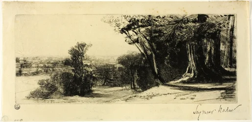 Kora reggel, Richmond Park