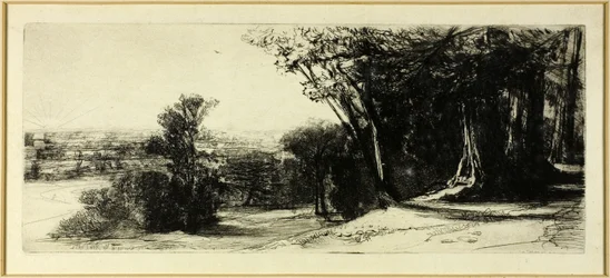 Kora reggel, Richmond Park