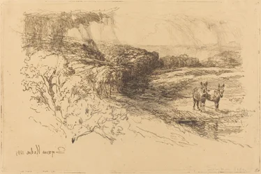Encombe Woods (1.)