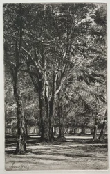 Kensington Gardens The Large Plate, 1860.