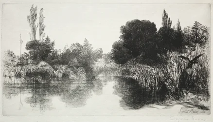 Shere Mill Pond, No. 11 (A nagy tányér)