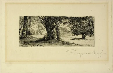 A Holly Fields
