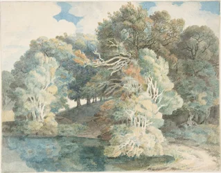 Fák a tónál, Peamore Park, Exeter közelében, Devon
