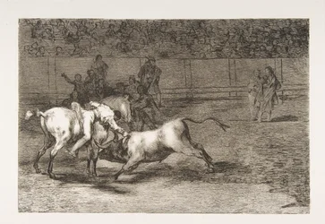 A „Tauromaquia” 23. táblája: Mariano Ceballos, alias indián, megöli a bikát a hi...-ból, 1816-ban.