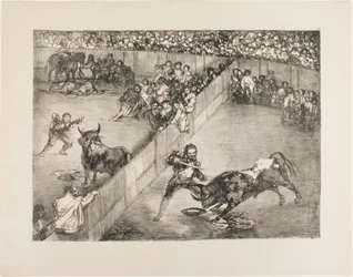 Bikaviadal osztott ringben, a The Bulls of Bordeaux-ból