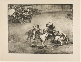 Picador, akit elkapott egy bika, a Bordeaux-i bikákból
