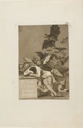 A The Sleep of Reason szörnyeket produkál, 43-as lemez Los Caprichosból