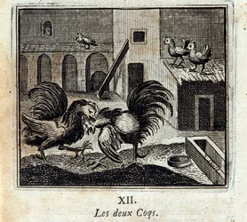 A két kakas. Jean de La Fontaine (1621-95) meséi. François Chauveau (1613-1676) illusztrációja. 1728-as kiadás.