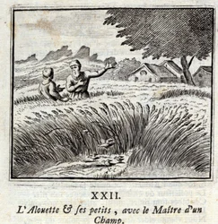 Az Alouette és kicsinyei a mezőmesterrel. Jean de La Fontaine (1621-95) meséi. François Chauveau (1613-1676) illusztrációja. 1728-as kiadás.
