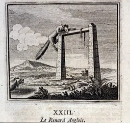 Az angol róka. Jean de La Fontaine (1621-95) meséi. Illusztráció: François Chauveau (1613-1676). 1728-as kiadás.