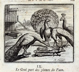 A szajkó pávafarkakkal ékesíti magát. Jean de La Fontaine (1621-95) meséi. François Chauveau (1613-1676) illusztrációja. 1728-as kiadás.