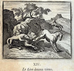 Az Oroszlán megöregedett. Jean de La Fontaine (1621-95) meséi. Illusztráció: Francois Chauveau (1613-1676). 1728-as kiadás.
