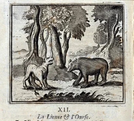 Az oroszlán és a medve. Jean de La Fontaine (1621-95) meséi. Illusztráció: François Chauveau (1613-1676). 1728-as kiadás.