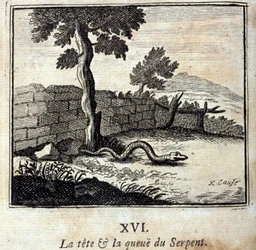 A kígyó feje és farka. Jean de La Fontaine (1621-95) meséi. François Chauveau (1613-1676) illusztrációja. 1728-as kiadás.