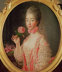 Savoyai Mária Jozefina Lujza (1753-1810), Provence grófnője
