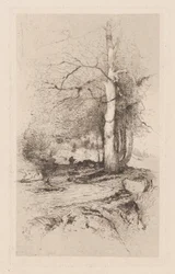 Táj, 1890.